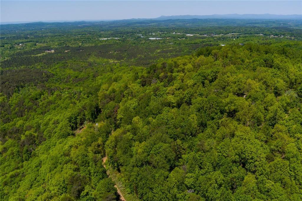 0 Firetower Road Jasper, GA 30143 - Photo 10 of 12 a view of a green field with lots of bushes
