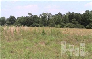 0 Heathers Folly Road Willard, NC 28478 - Photo 1 of 2 Primary Photo