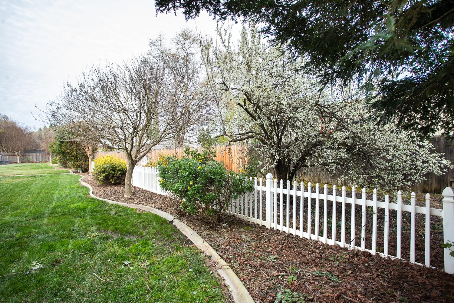 2227 West Ridge Drive Sutter, CA 95982 - Photo 44 of 57