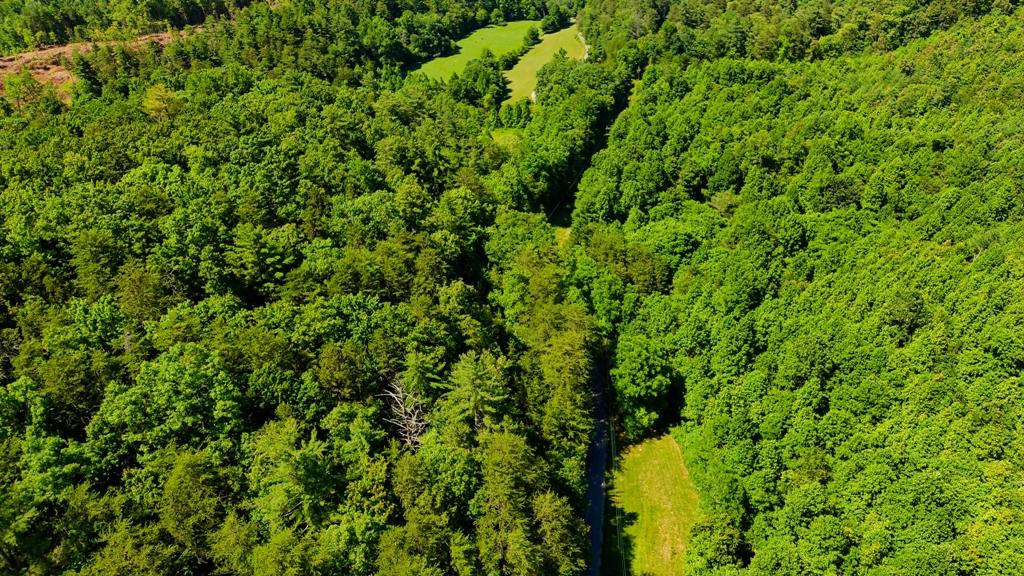 Dockery Road Tellico Plains, TN 37385 - Photo 22 of 37 drone 7