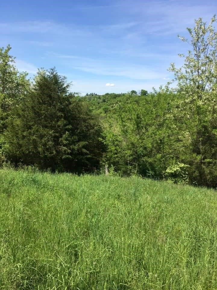 1 Mount Moriah Road Carlisle, KY 40311 - Photo 26 of 28 Listing Photo