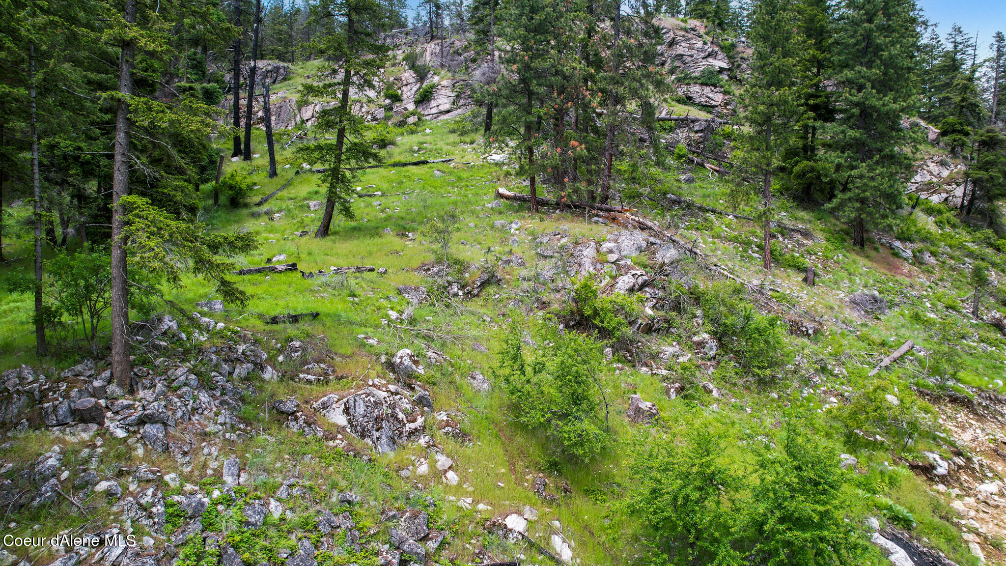 Nna Glacier Loop Road Athol, ID 83801 - Photo 5 of 21 DJI_0025 copy