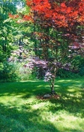 1230 Bemis Road Warren, MA 01083 - Photo 14 of 17 a view of yard with green space