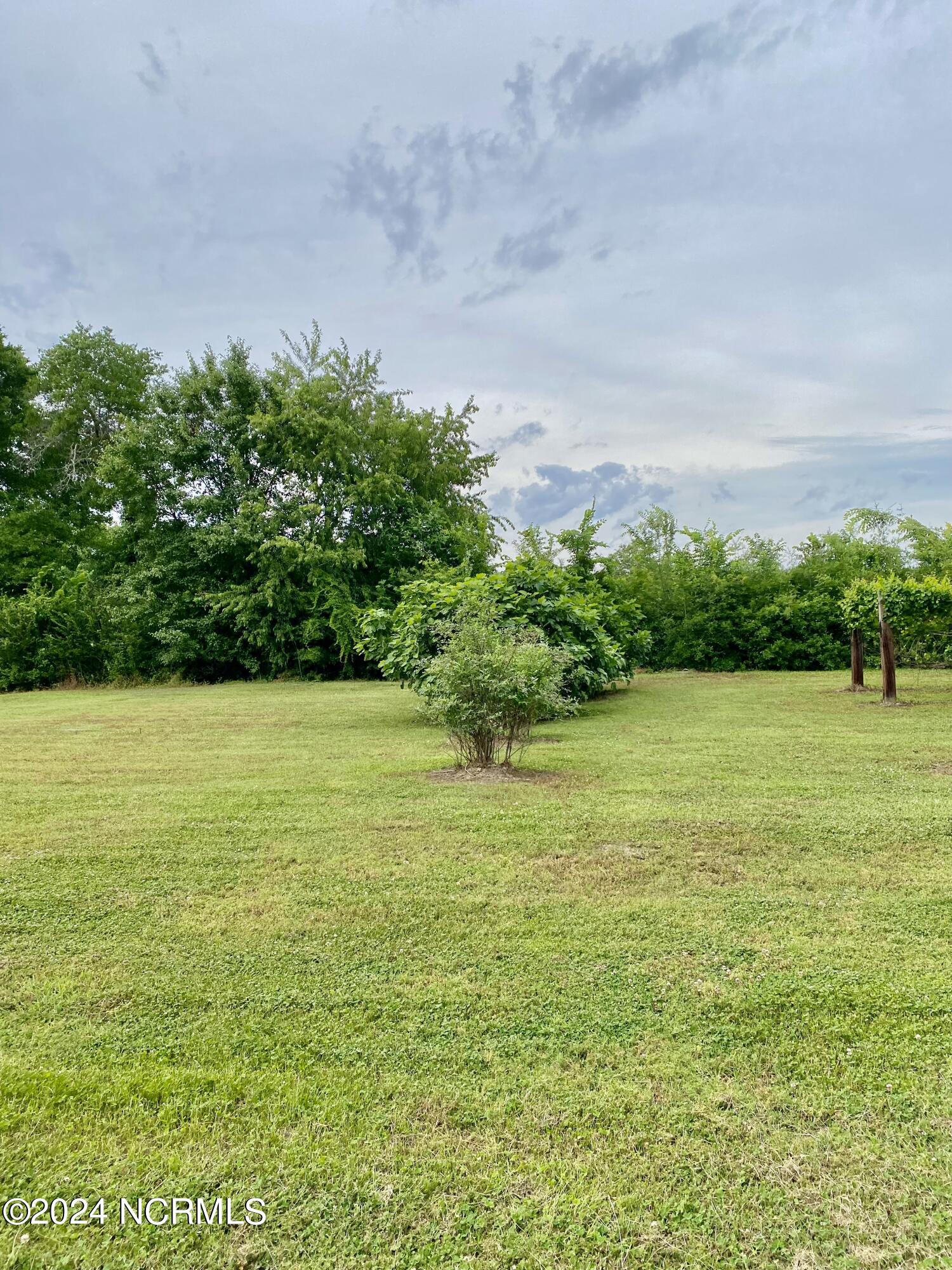 1687 Rams Horn Road Greenville, NC 27834 - Photo 21 of 26 blueberries