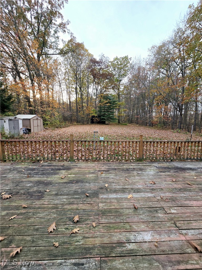 1550 North County Line Road Geneva, OH 44041 - Photo 46 of 47 Backyard deck featuring a storage shed