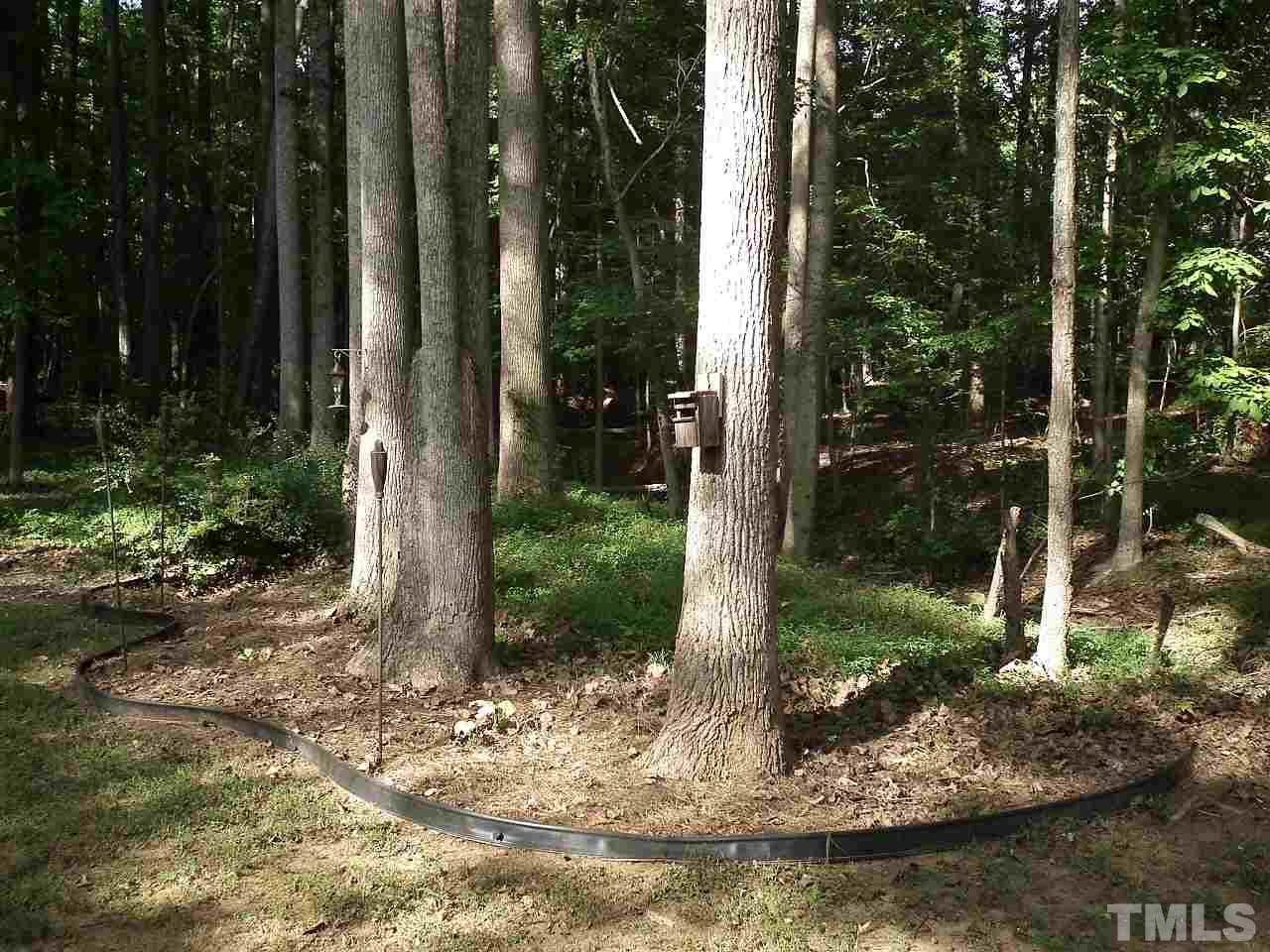 2824 Oak Ridge Court Raleigh, NC 27603 - Photo 17 of 22 a view of a tree in a yard