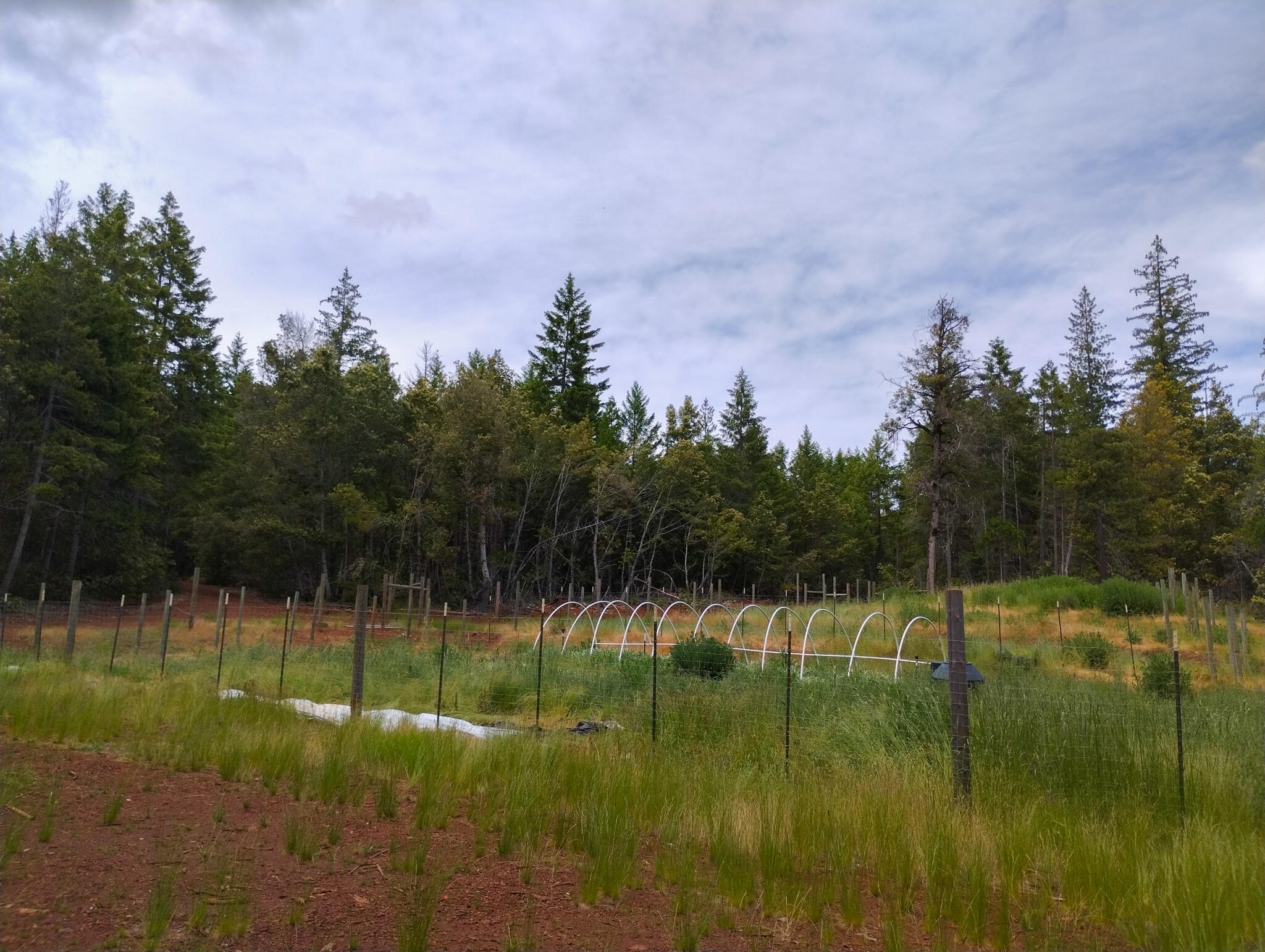 45 Acres M&w Ranch Road Willow Creek, CA 95573 - Photo 22 of 58 Ph (2)