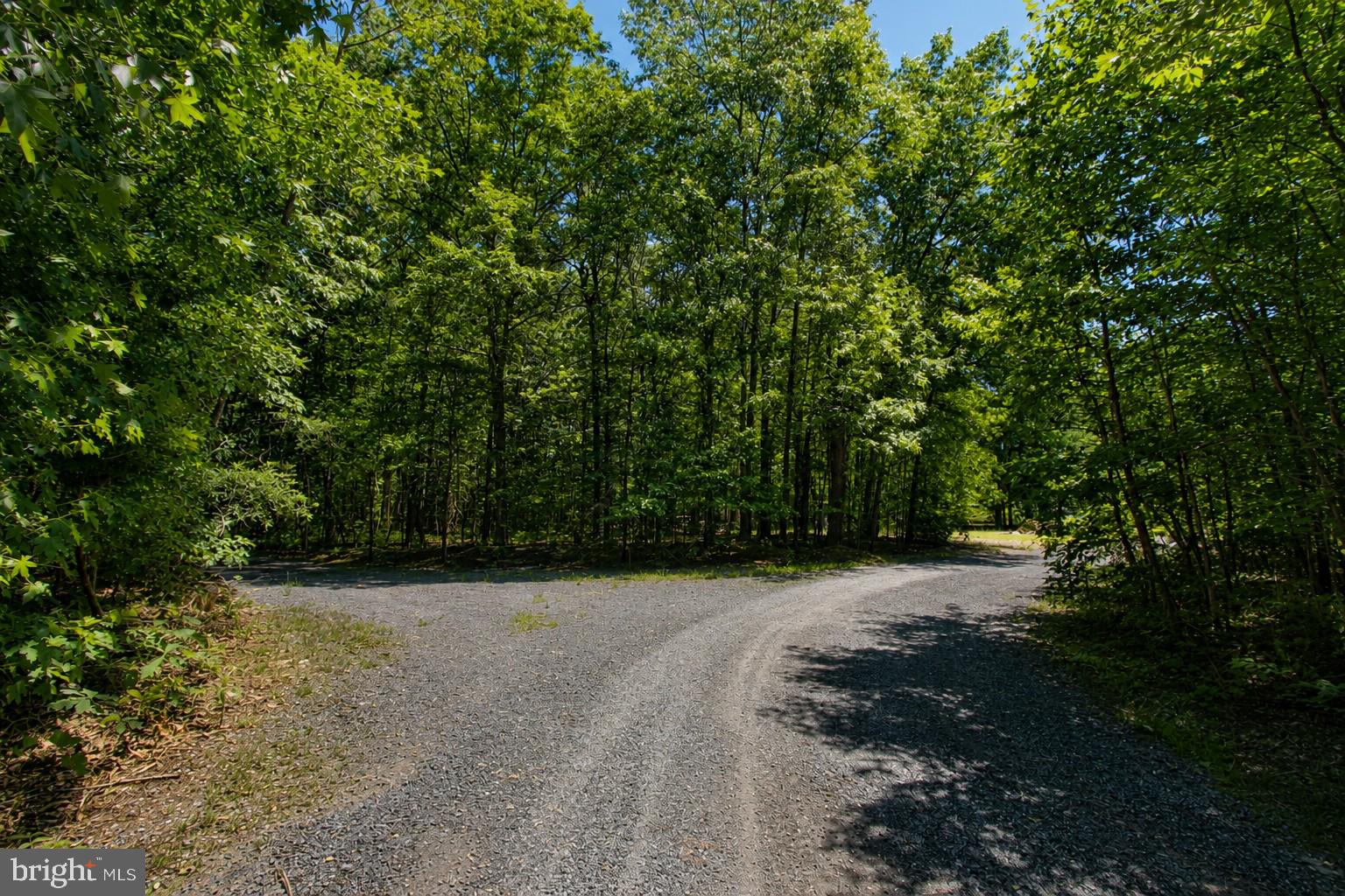 4319 Hadamar Road Spotsylvania, VA 22551 - Photo 8 of 14
