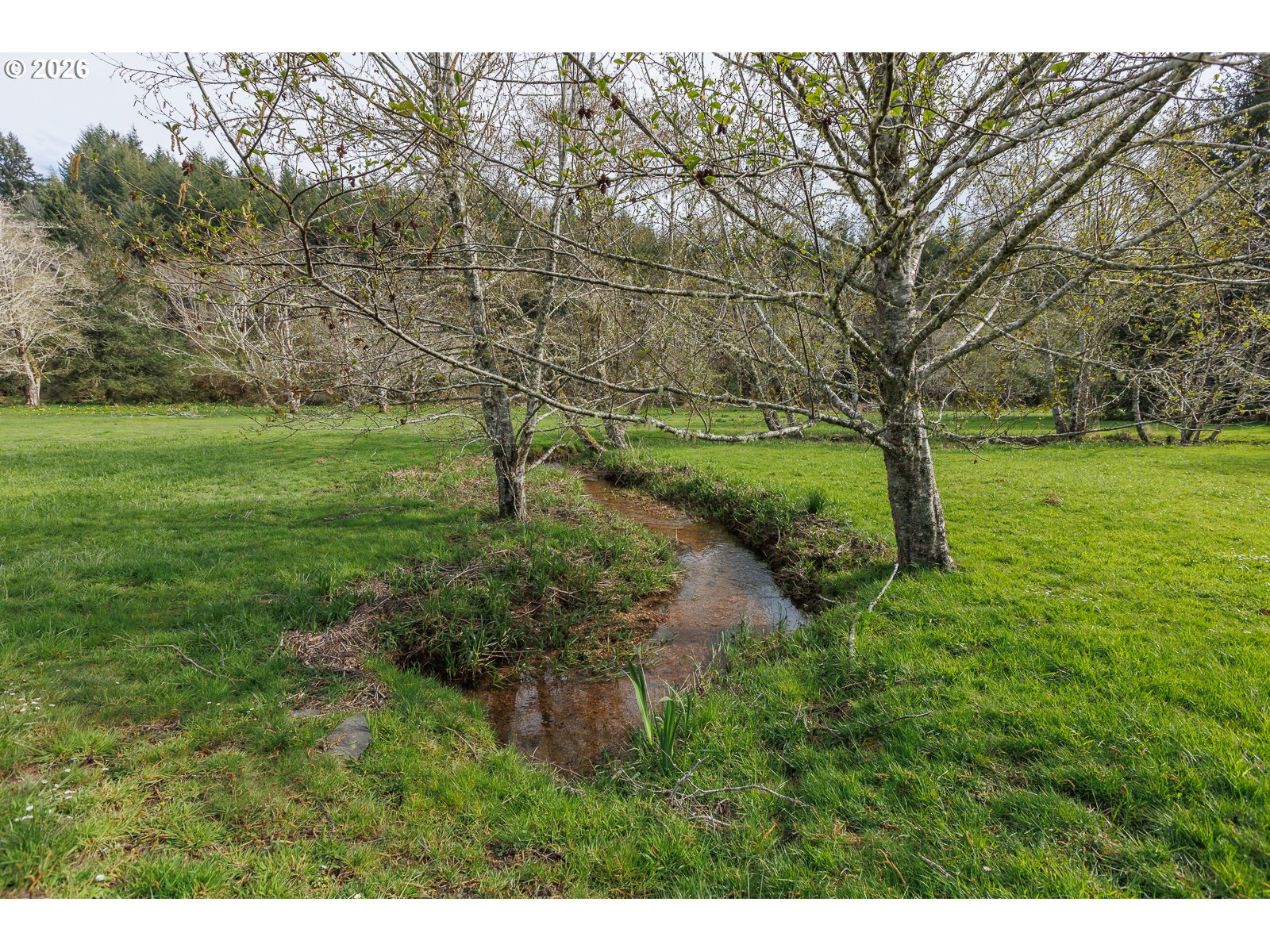626 North Bayview Loop Waldport, OR 97394 - Photo 33 of 38 a view of a garden with a tree