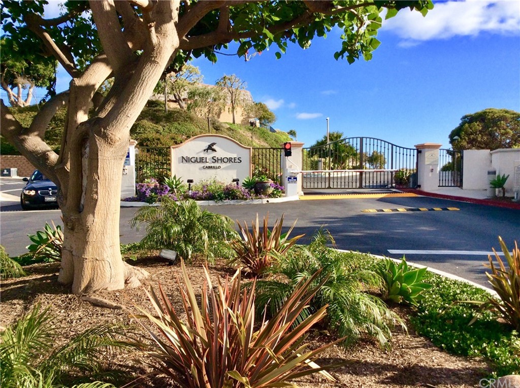 33525 Binnacle Drive Dana Point, CA 92629 - Photo 43 of 76 a view of a garden with a tree