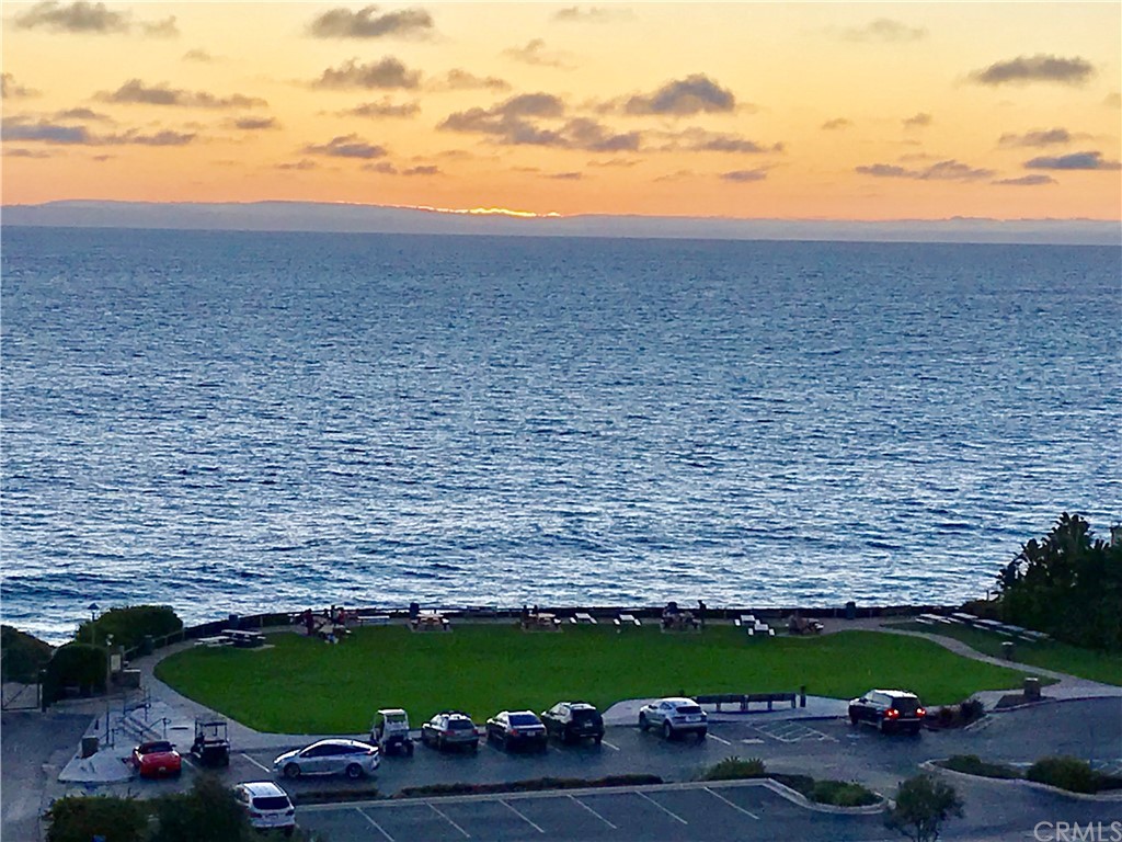 33525 Binnacle Drive Dana Point, CA 92629 - Photo 56 of 76 a view of a yard with an outdoor space