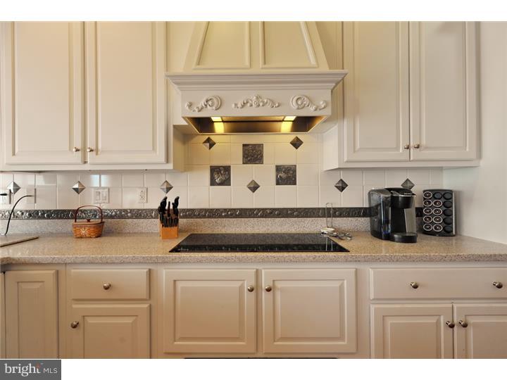 103 Grandview Road Boyertown, PA 19512 - Photo 10 of 25 Gallery Image 10