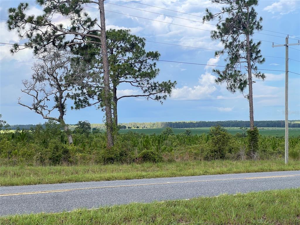 Levy Street Williston, FL 32696 - Photo 11 of 26