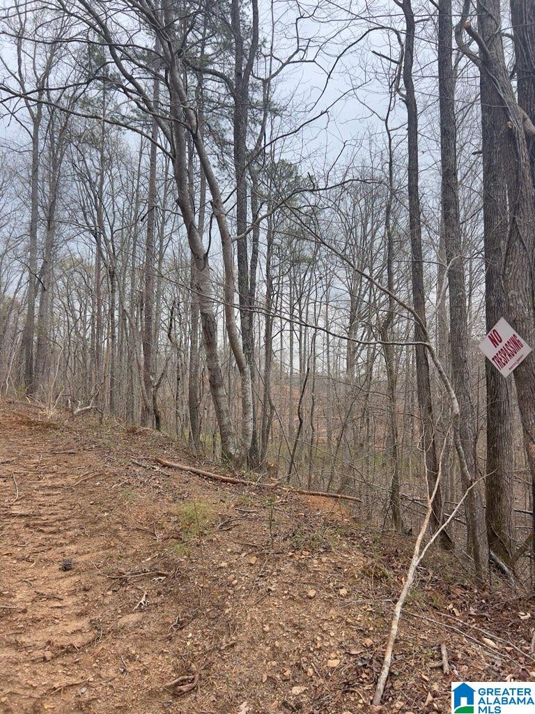 0 Ridley Upper Road Heflin, AL 36264 - Photo 2 of 2