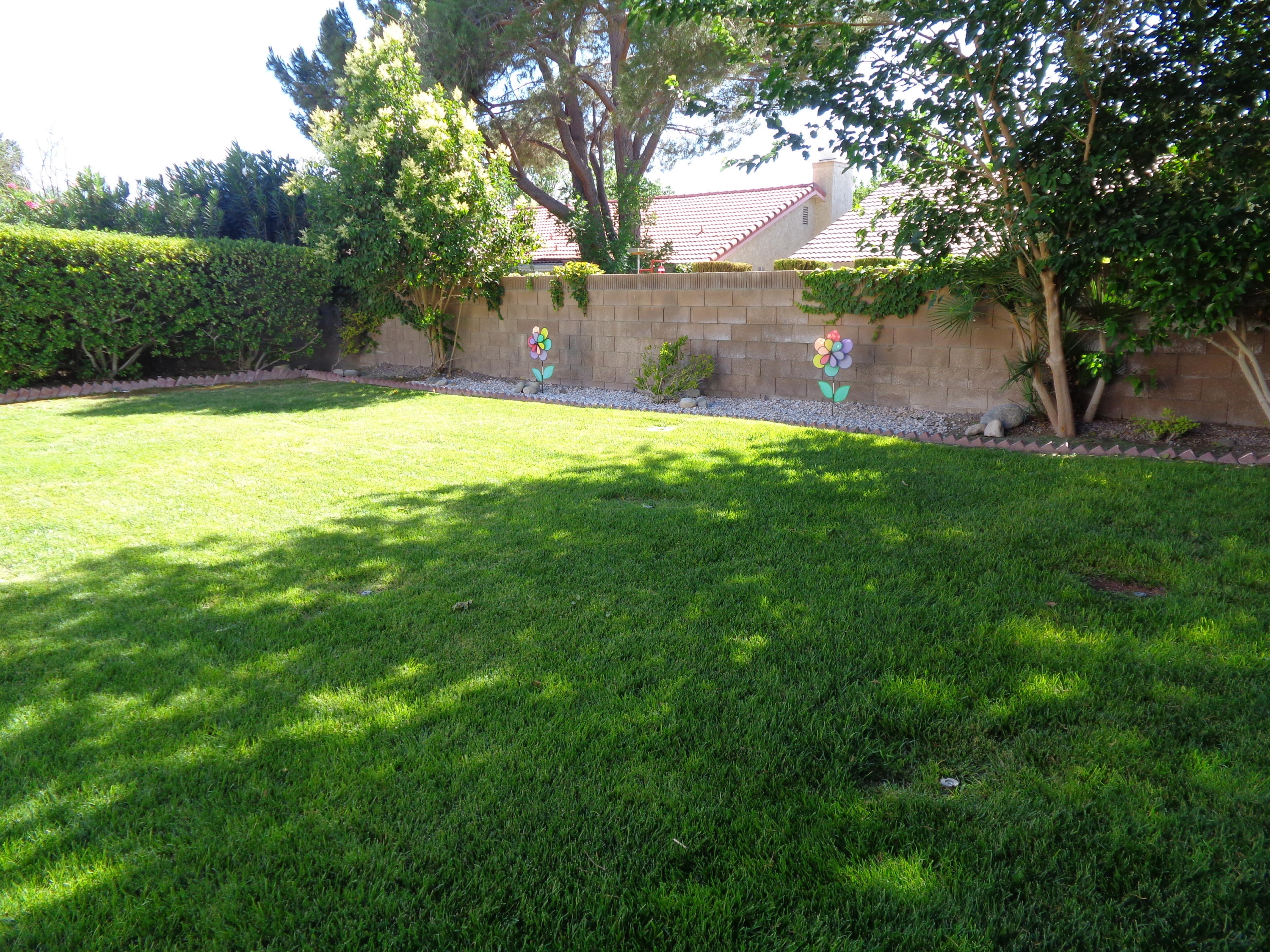 44027 Ruthron Avenue Lancaster, CA 93536 - Photo 28 of 33 DSC04403