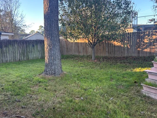 a view of a yard with a tree and a fence