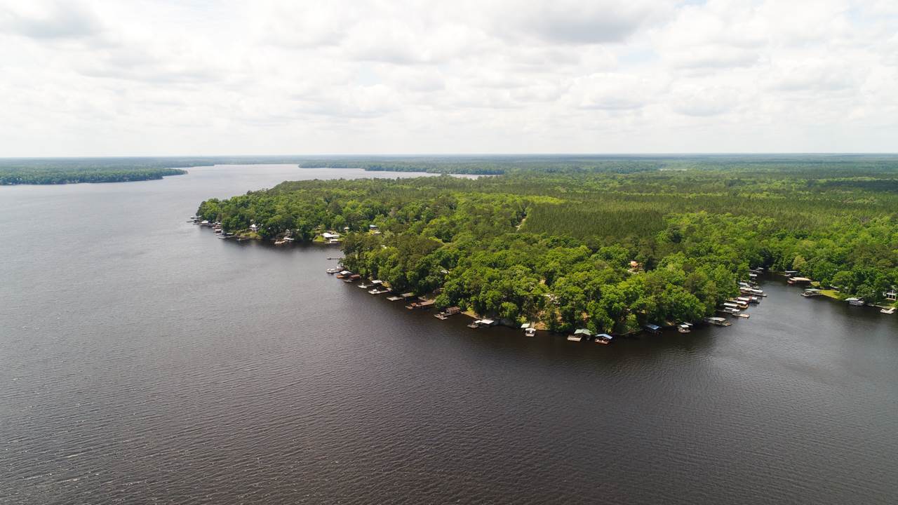 1061 Drake Acres Road Quincy, FL 32351 - Photo 5 of 36