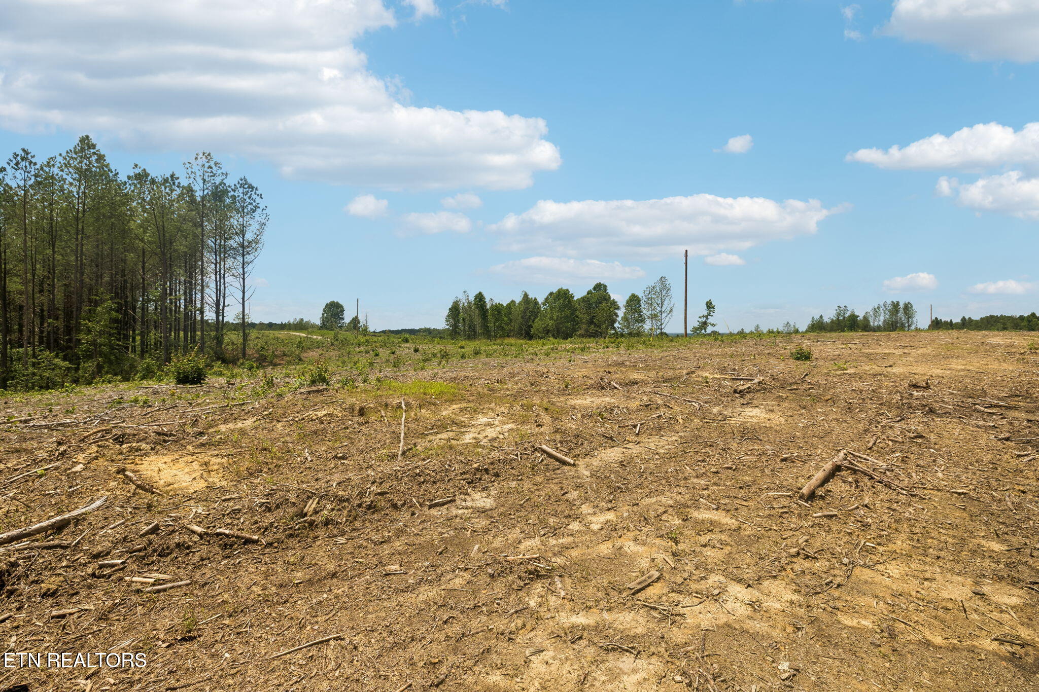 Nydeck Road Robbins, TN 37852 - Photo 21 of 45 1-1859 Nydeck Trail - Lot 2 - 001