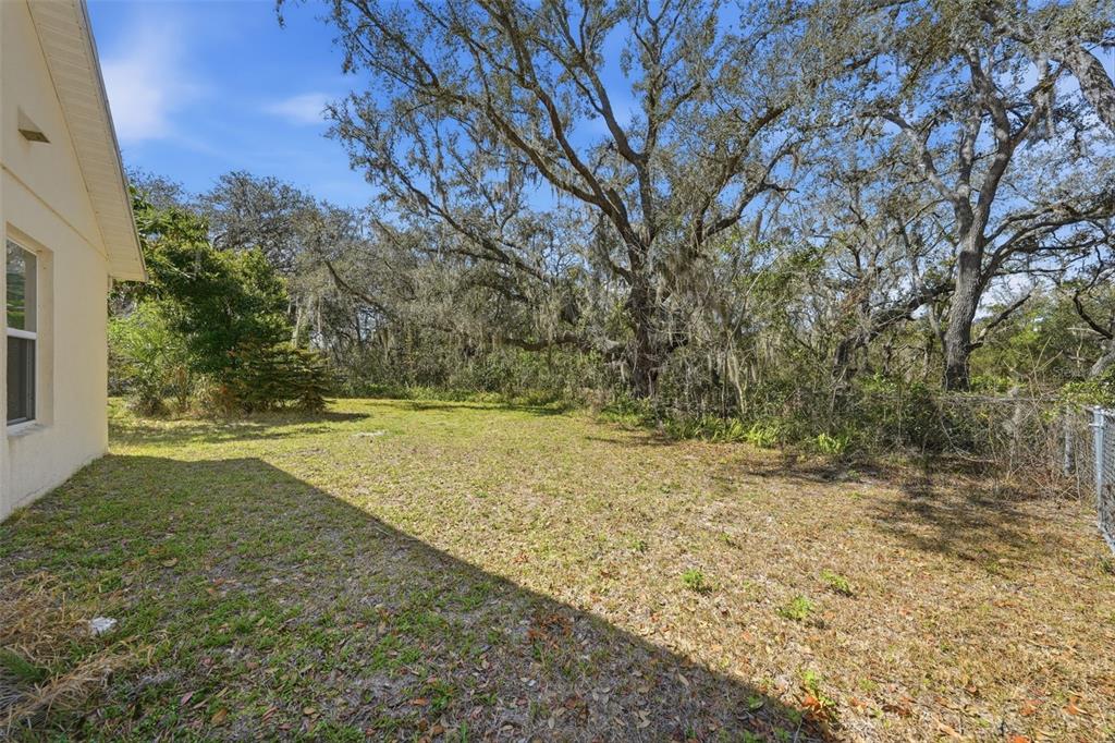 35015 Radio Road Leesburg, FL 34788 - Photo 7 of 76
