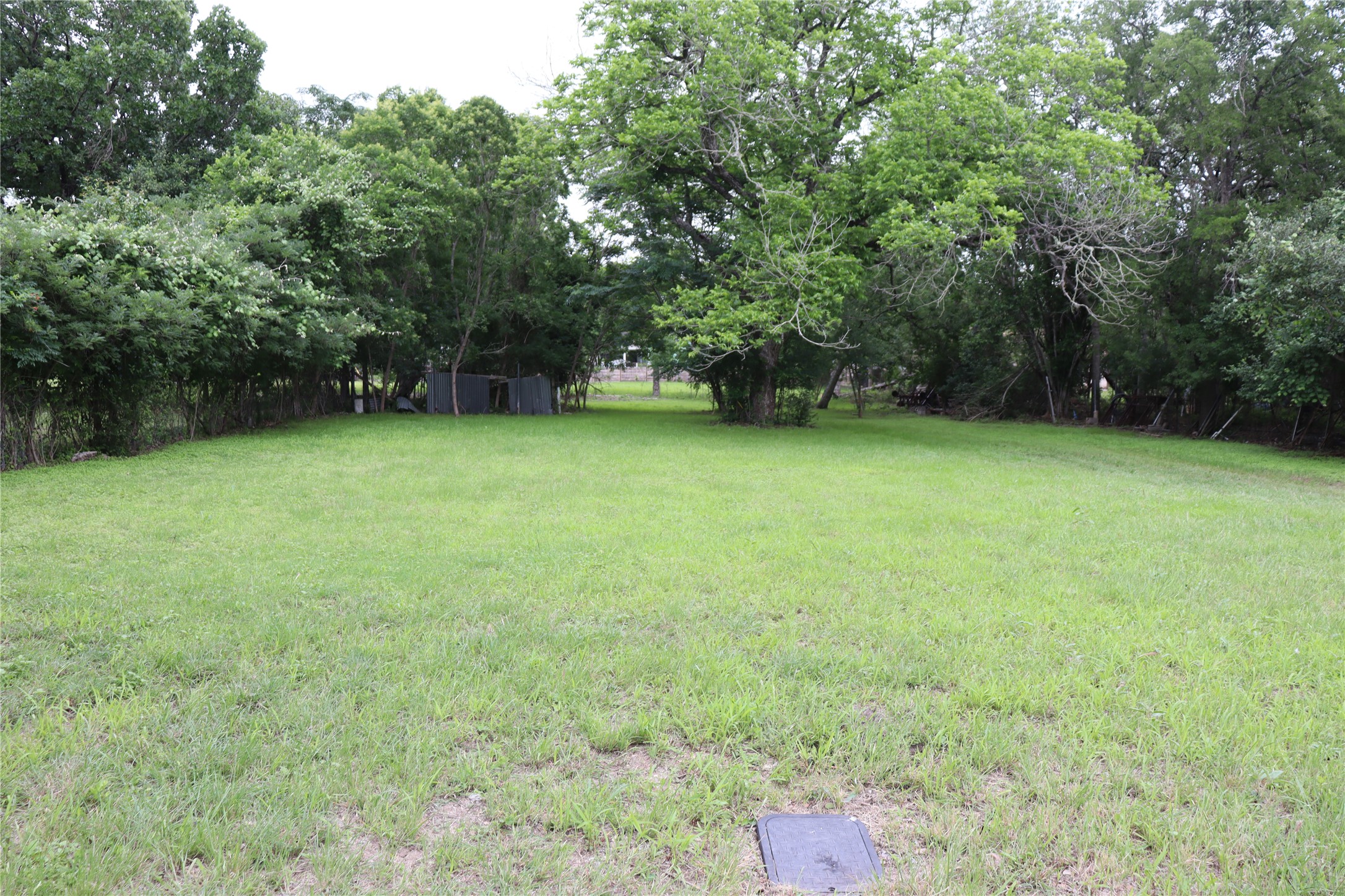1006 Johnson Street Lockhart, TX 78644 - Photo 1 of 10 Expansive grassy clearing surrounded by mature trees