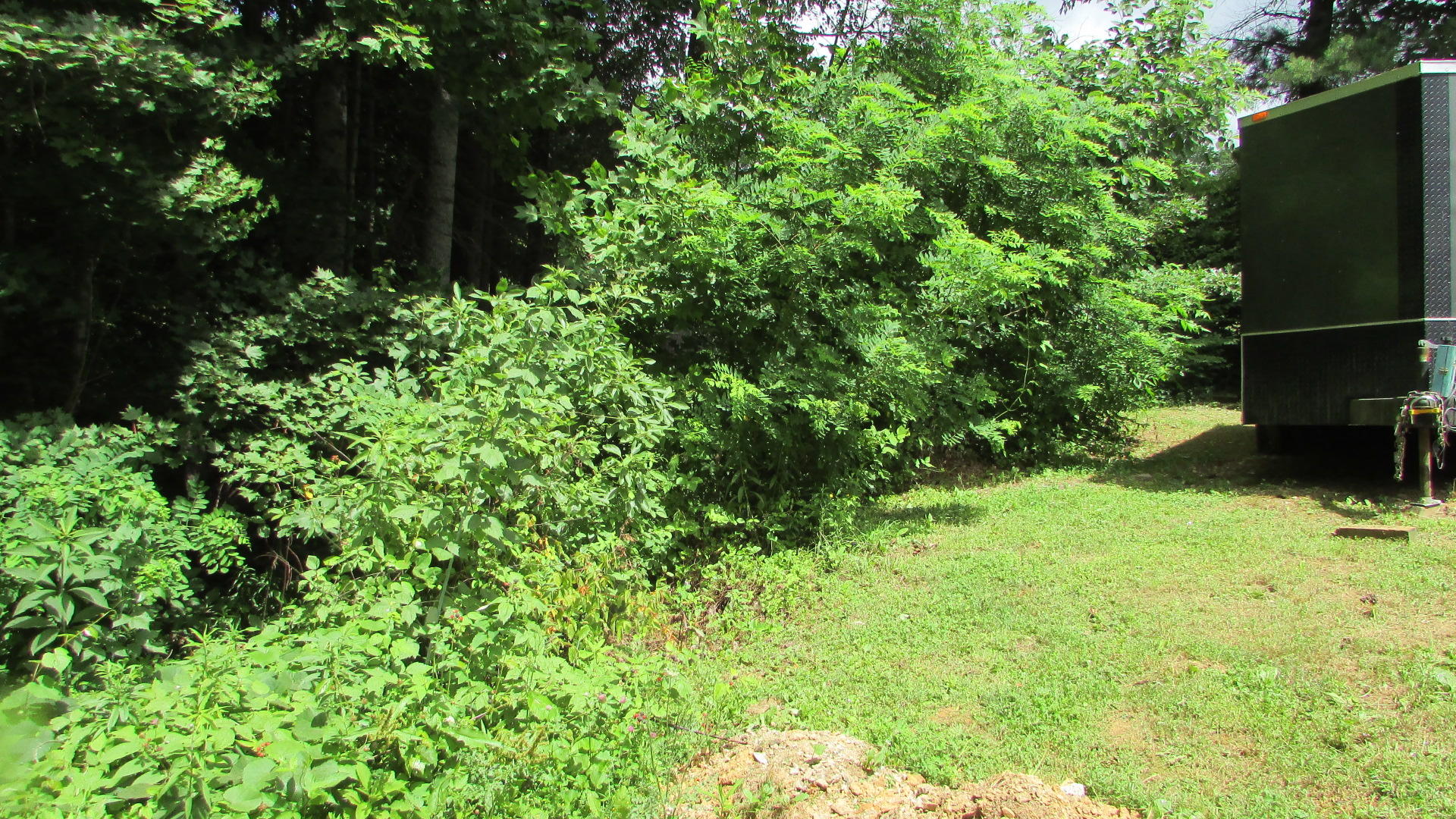 962 Fairview Road Hampton, TN 37658 - Photo 6 of 18 IMG_4607