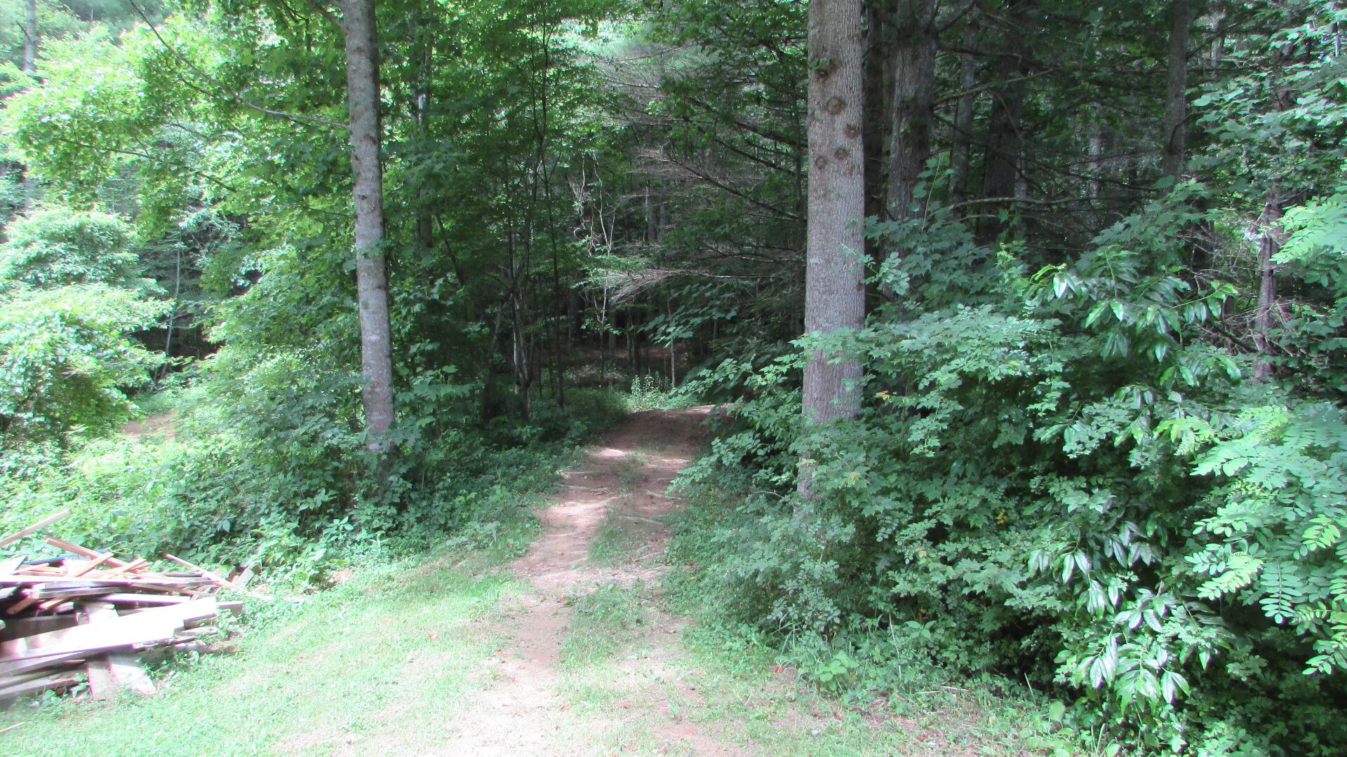 962 Fairview Road Hampton, TN 37658 - Photo 7 of 18 IMG_4608