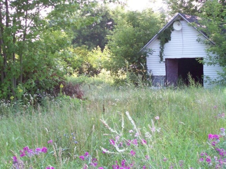 0 Judevine Road Palo, MI 48870 - Photo 4 of 4 4