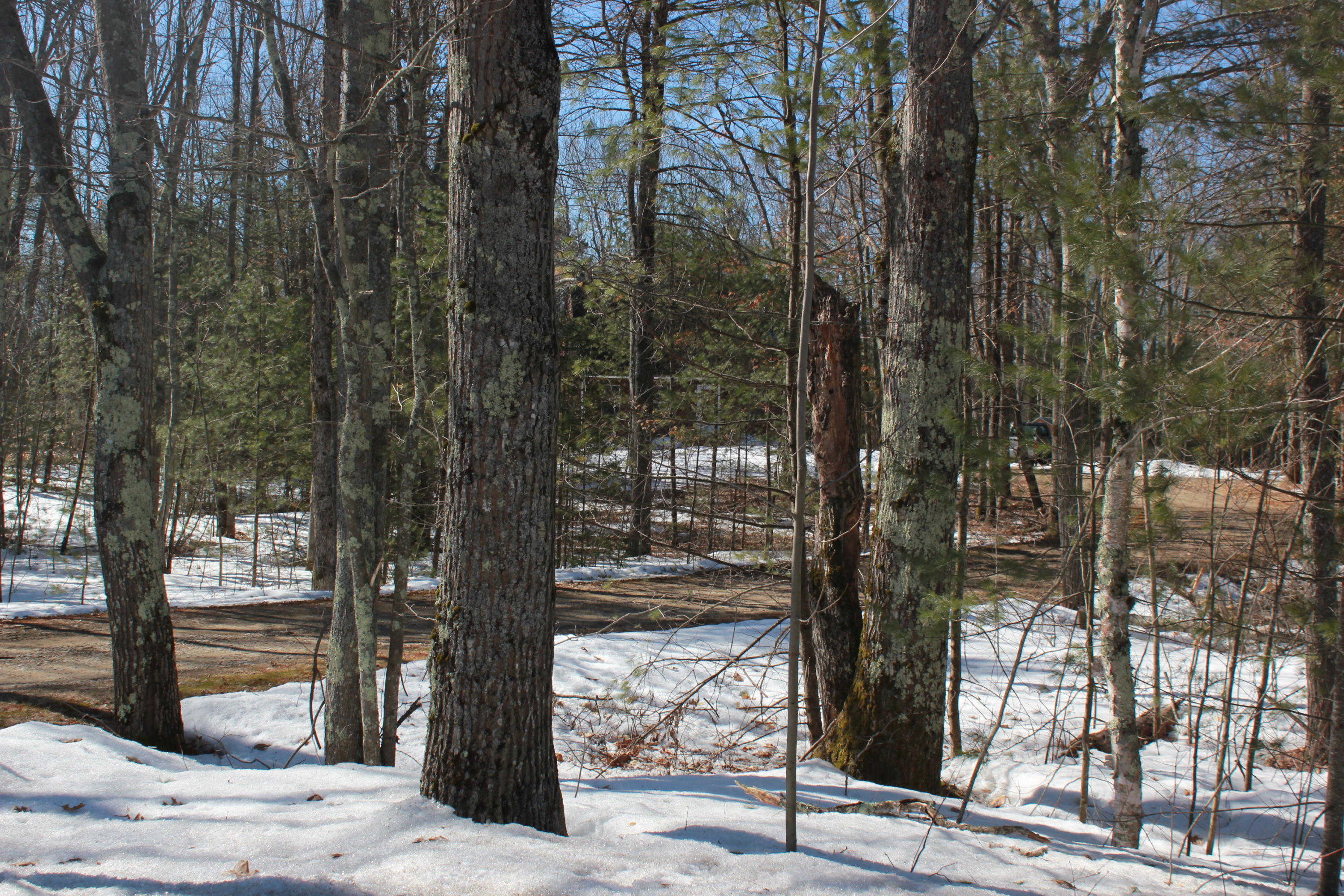 147 New County Road Hollis Center, ME 04042 - Photo 19 of 20 IMG_4402