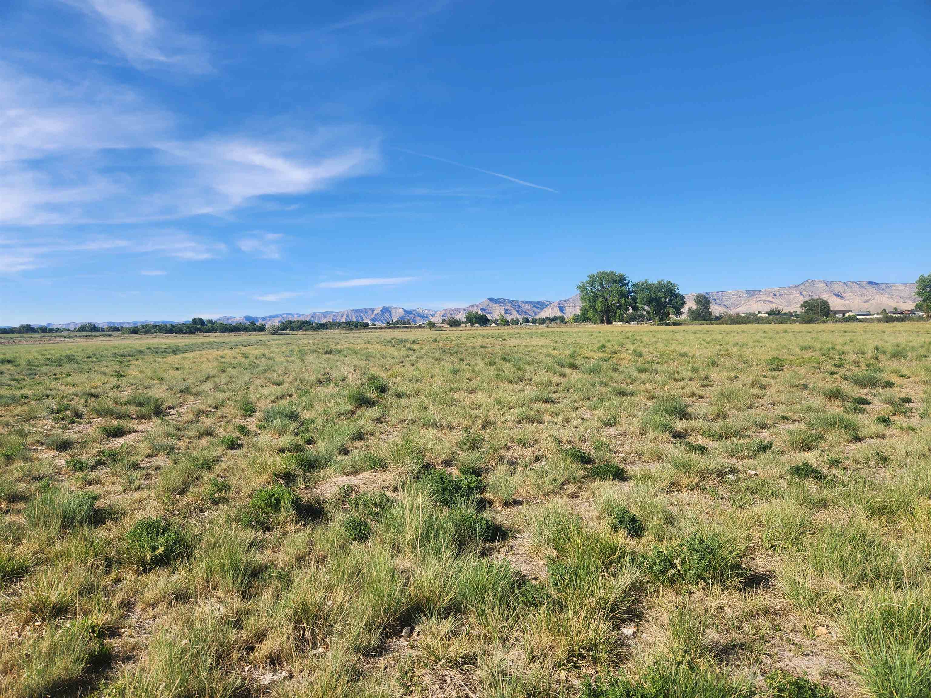 2374 J Road Grand Junction, CO 81505 - Photo 3 of 4