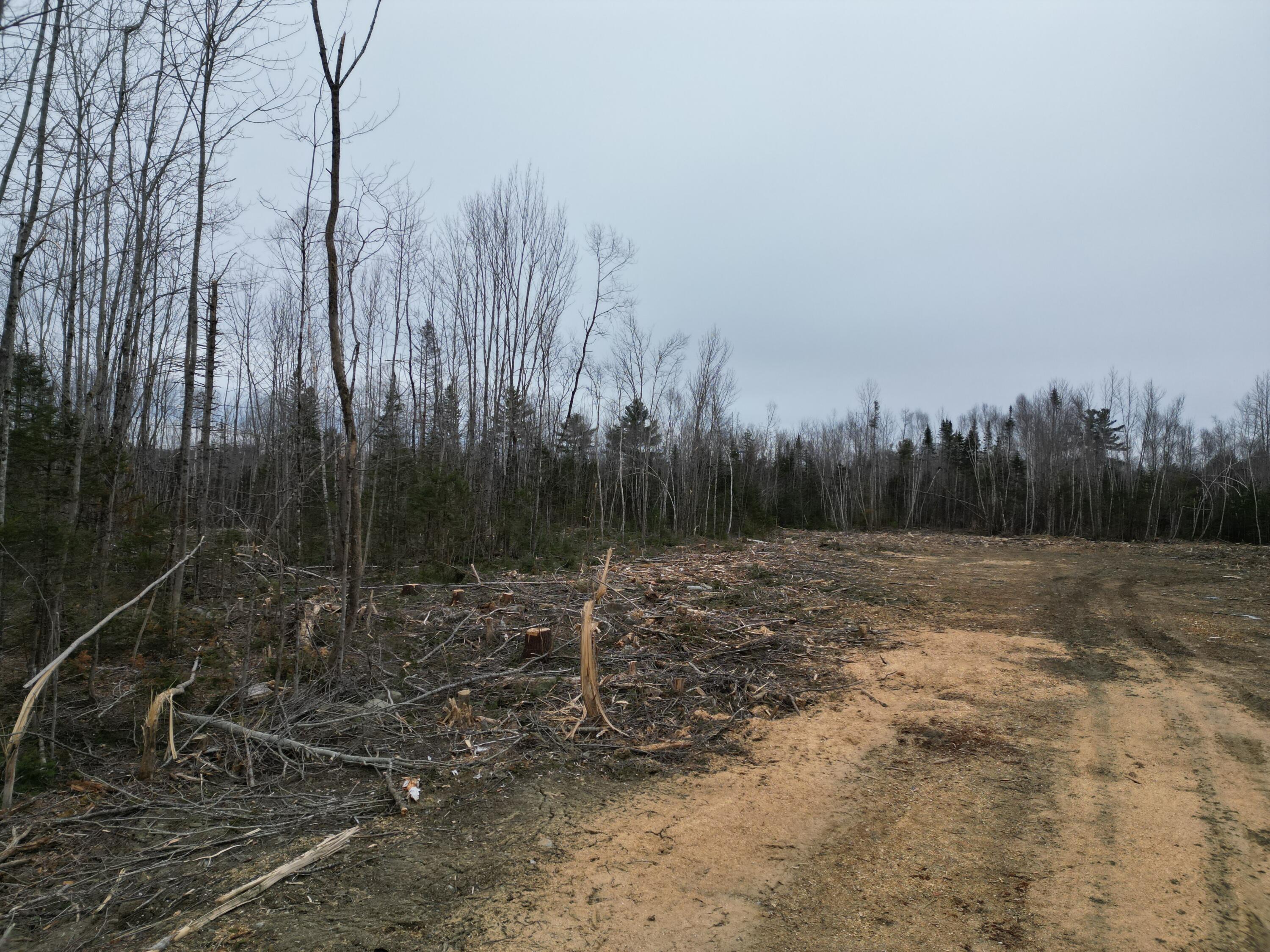 Lot 52.3 Lagrange Road Milo, ME 04463 - Photo 5 of 24 DJI_0234