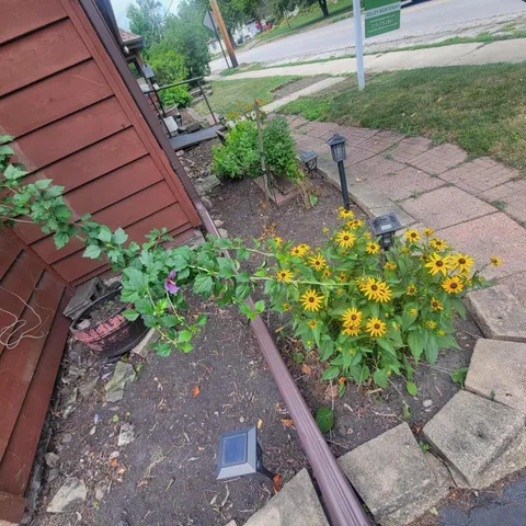 a backyard of a house with a garden and plants