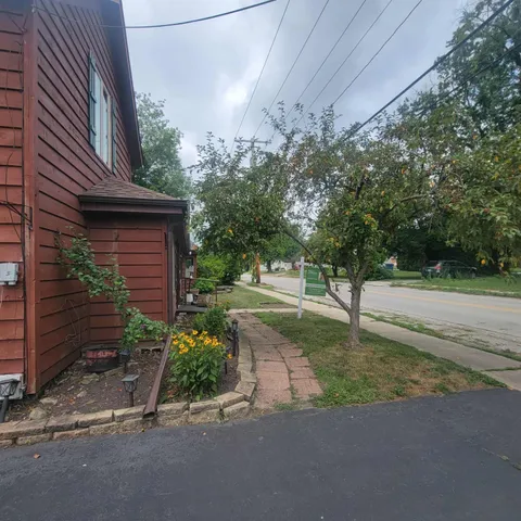 a view of a street with large tree