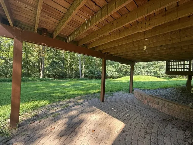 a view of a backyard with a big yard potted plants and large tree