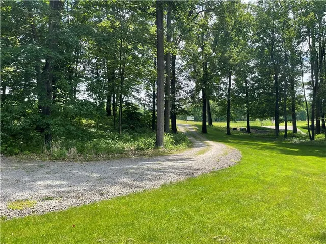 a view of a park with tree s