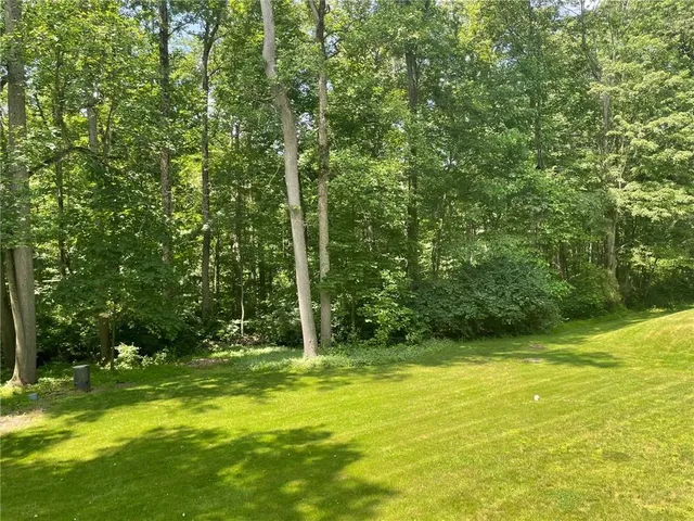 a view of a yard with a tree