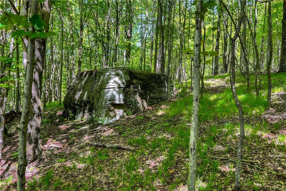 26 Federal Hill Road Delhi, NY 13753 - Photo 28 of 50