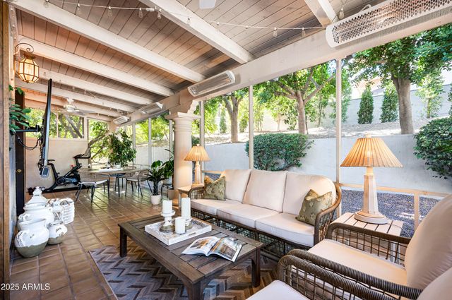 a view of a backyard with plants and palm tree