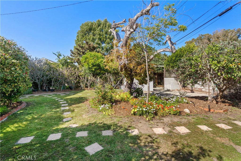 606 Penn Street El Segundo, CA 90245 - Photo 16 of 21 park-like yard