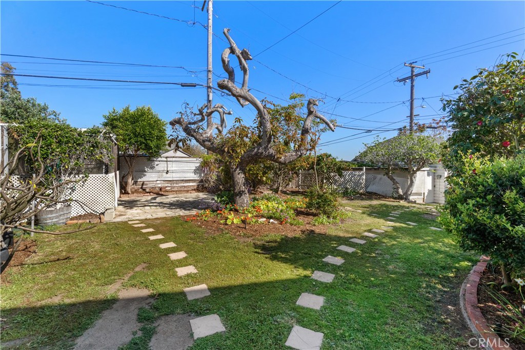 606 Penn Street El Segundo, CA 90245 - Photo 18 of 21 fruit trees, plumarias and patio