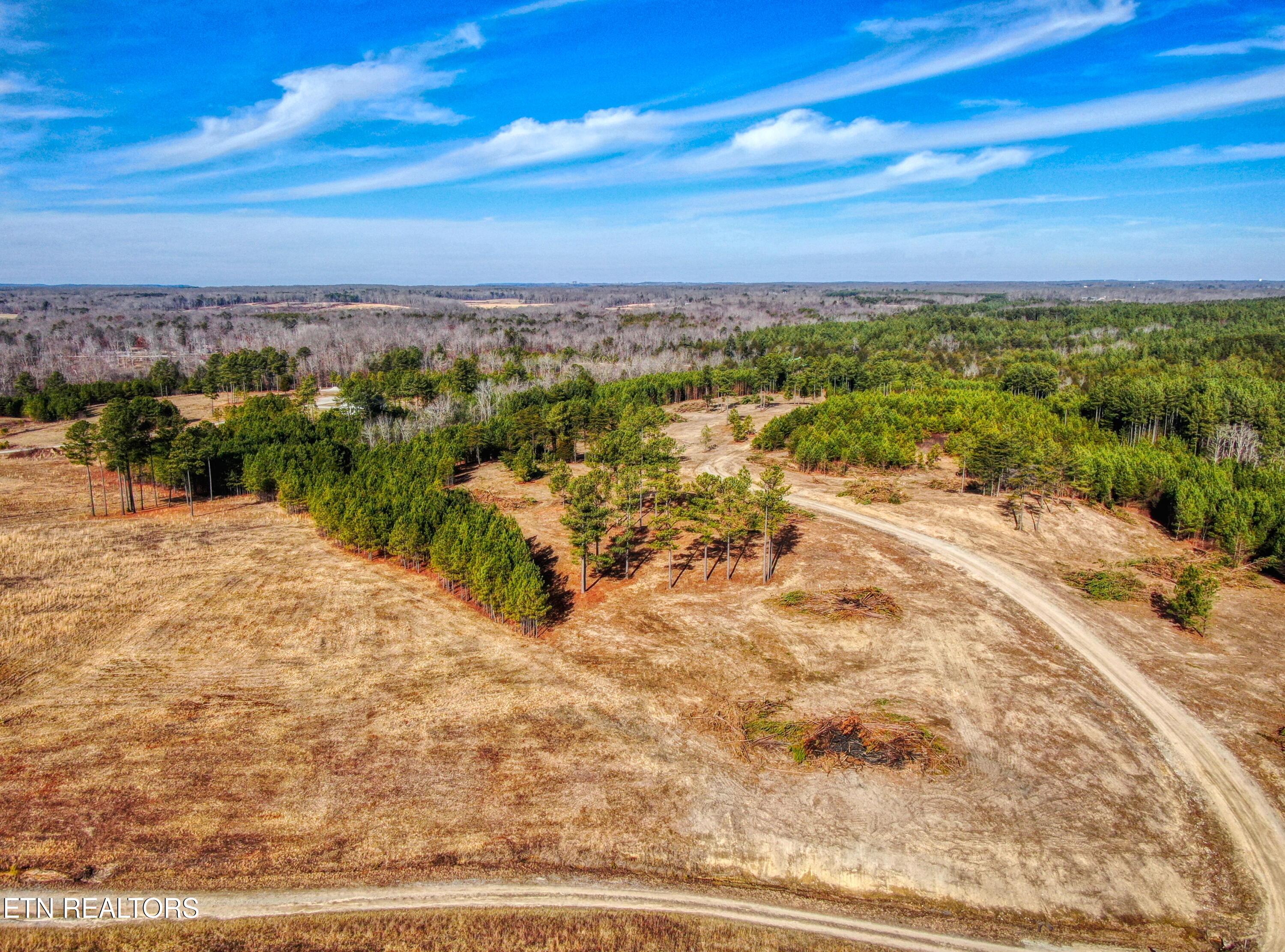 Lot 8 Hunters Rdg Trail Jamestown, TN 38556 - Photo 2 of 4 1