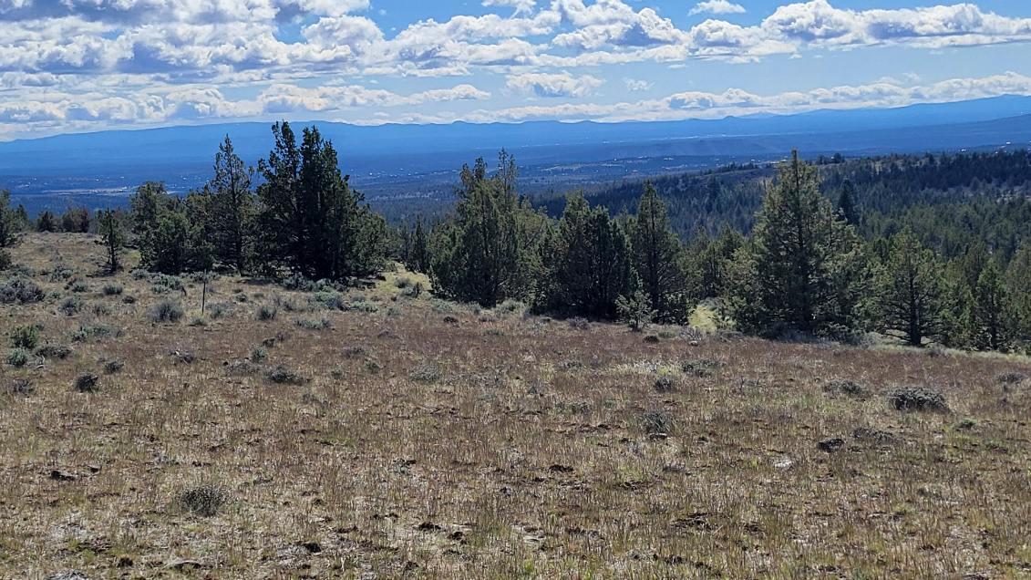 1000 Southeast Wolf Road Prineville, OR 97754 - Photo 21 of 30 image000004 (4)