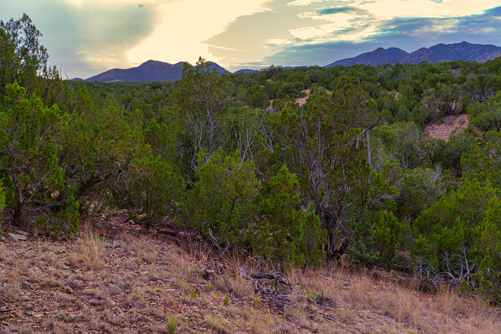 176 Wagon Trail Road Cerrillos, NM 87010 - Photo 18 of 35