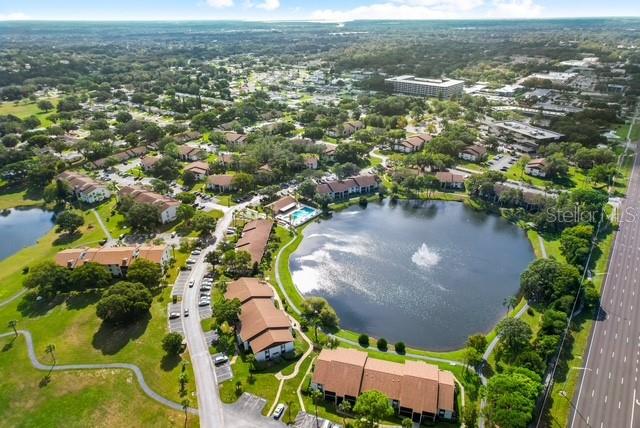2522 Pine Ridge Way South, Unit D2 Palm Harbor, FL 34684 - Photo 38 of 38
