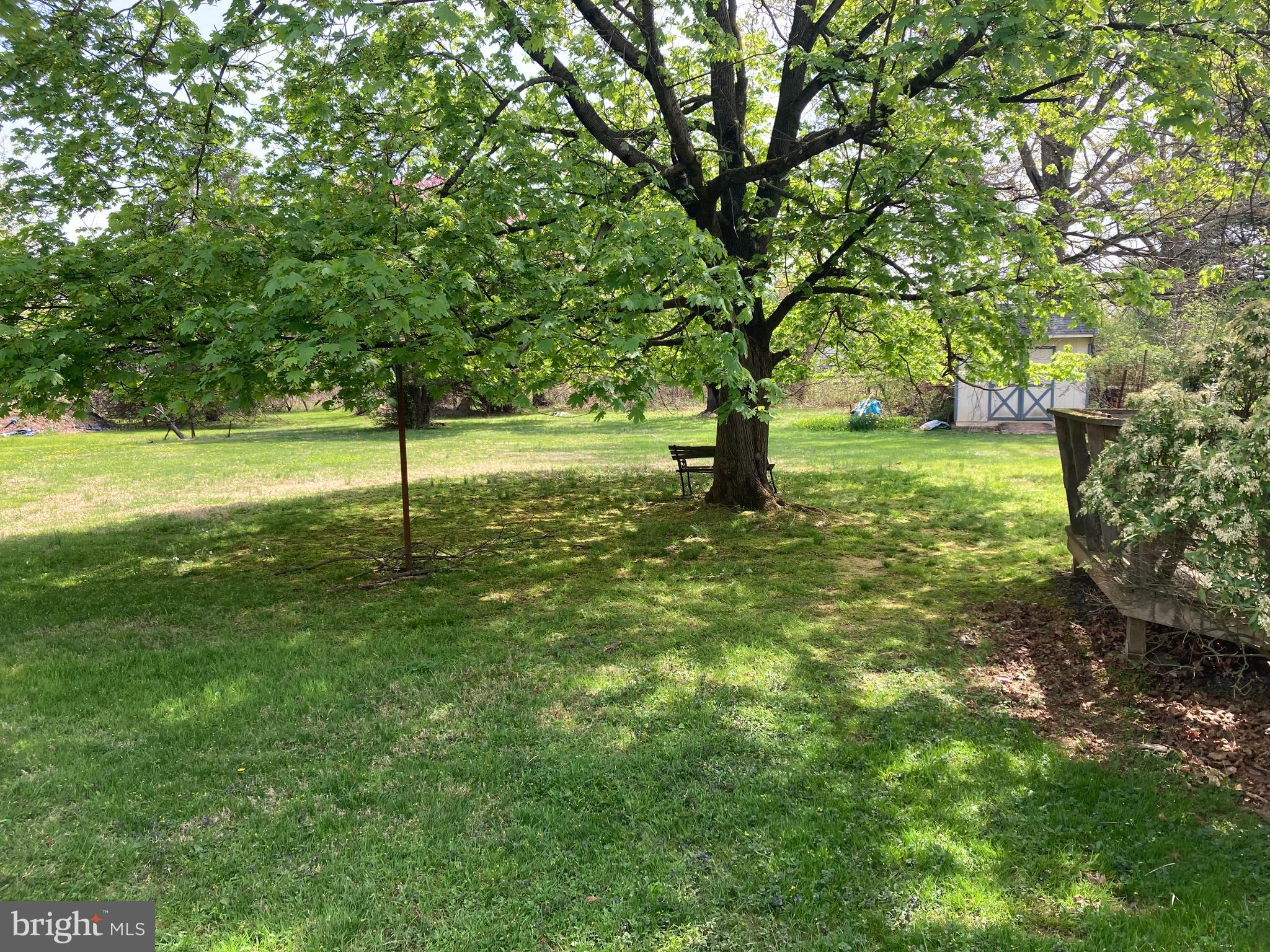 580 Jacksonville Road Warminster, PA 18974 - Photo 2 of 20 a view of a trees with a yard