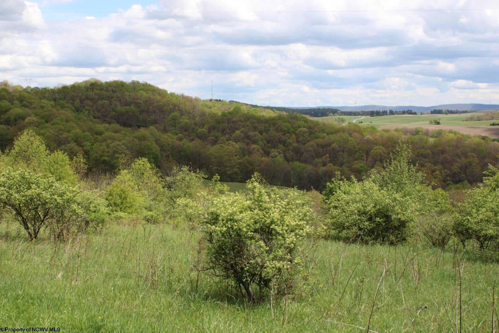 5360 Stemple Ridge Road Aurora, WV 26705 - Photo 28 of 38 Gallery Image 28