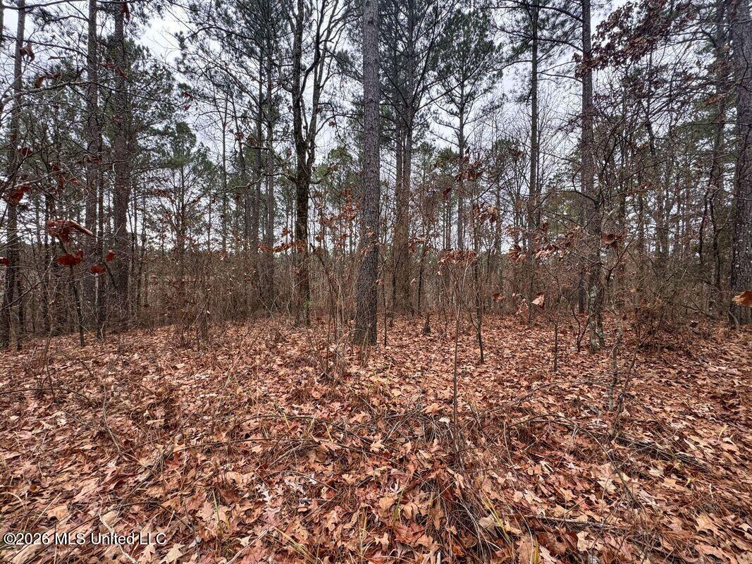 154 County Road Tillatoba, MS 38961 - Photo 31 of 58 4kgrdnyb11-orig_orig