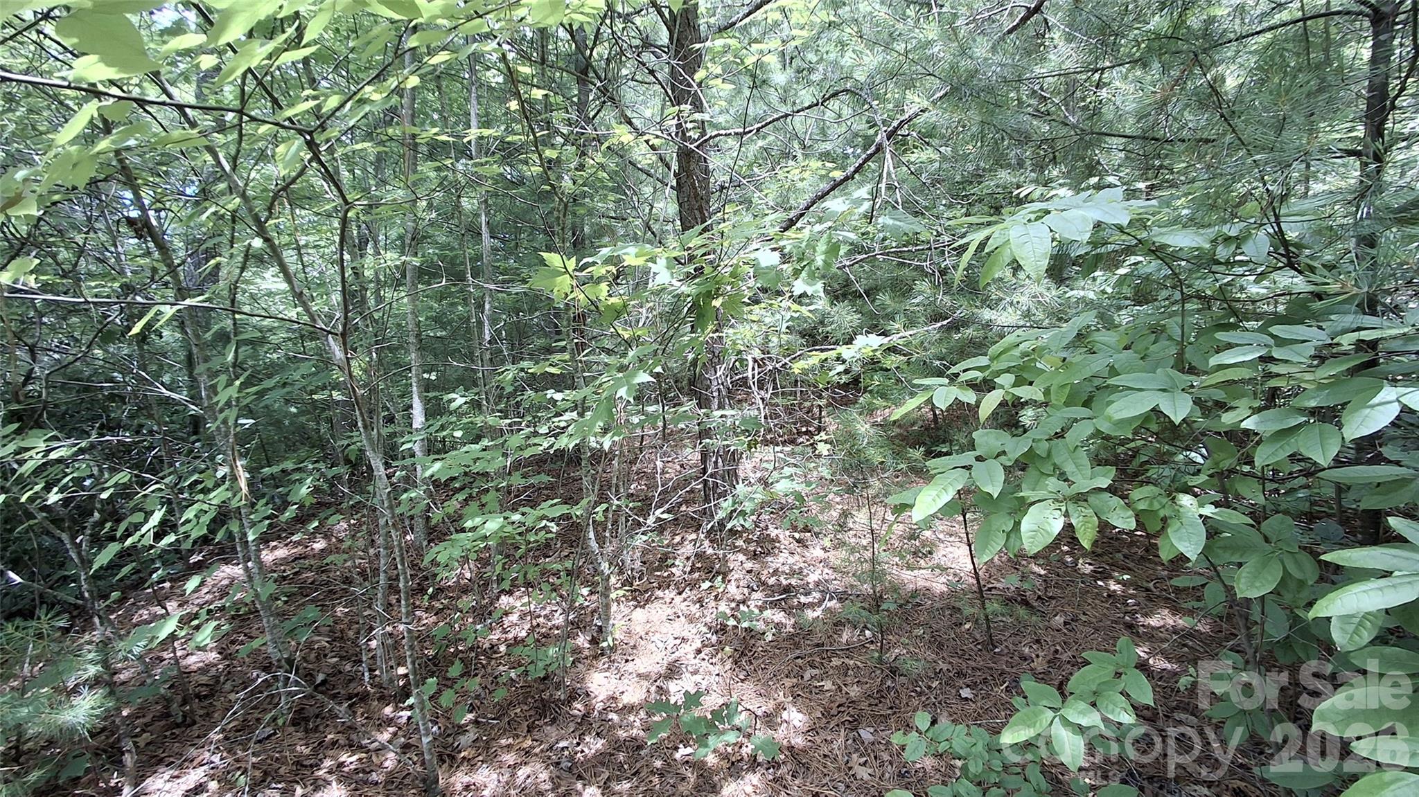 77 Kako Ridge, Unit 57 Sylva, NC 28779 - Photo 12 of 19