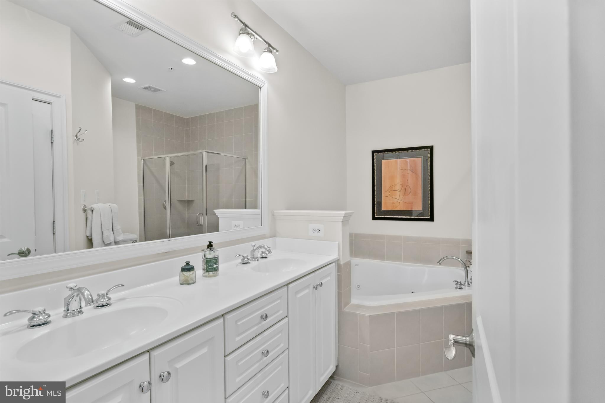 419 Princess Street Alexandria, VA 22314 - Photo 17 of 44 a bathroom with a bathtub shower sink double and mirror