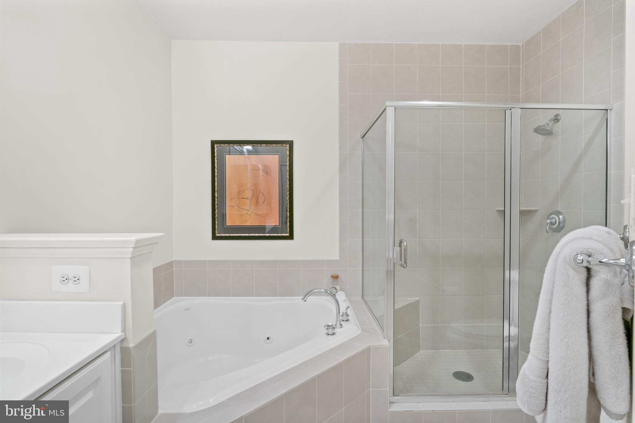 419 Princess Street Alexandria, VA 22314 - Photo 18 of 44 a bathroom with a bathtub and a shower