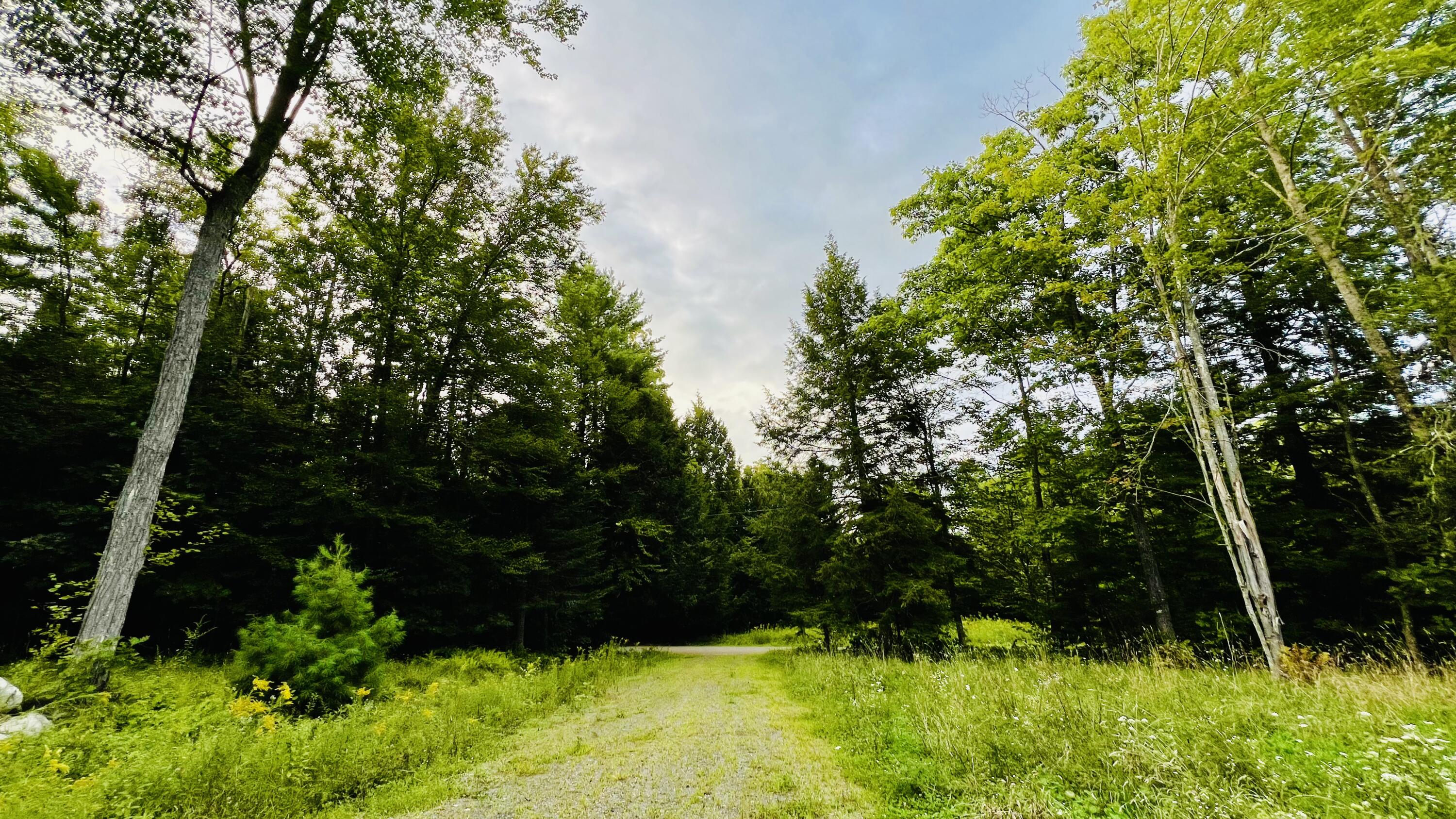 45 Branstrom Road Vassalboro, ME 04989 - Photo 20 of 22 IMG_8530